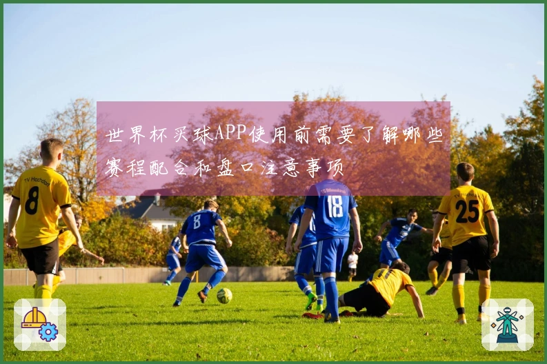 世界杯买球APP使用前需要了解哪些赛程配合和盘口注意事项