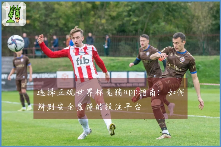 选择正规世界杯竞猜app指南：如何辨别安全靠谱的投注平台
