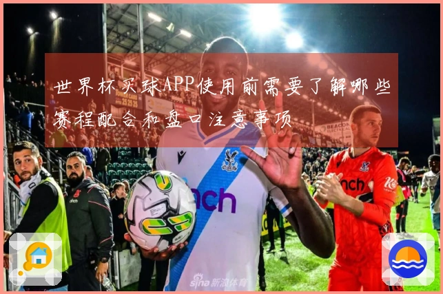 世界杯买球APP使用前需要了解哪些赛程配合和盘口注意事项