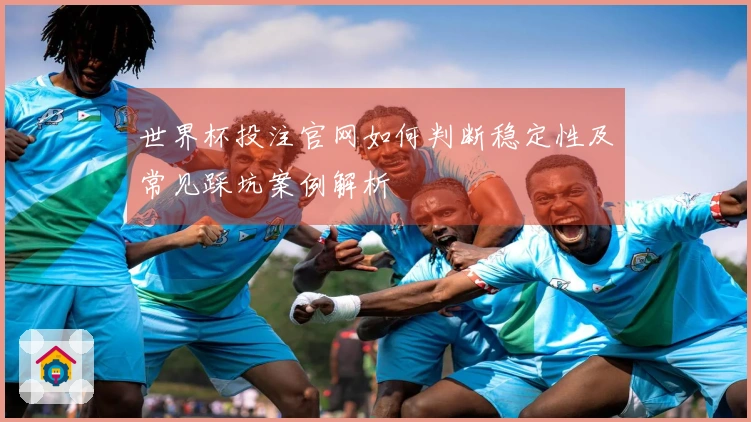 世界杯投注官网如何判断稳定性及常见踩坑案例解析