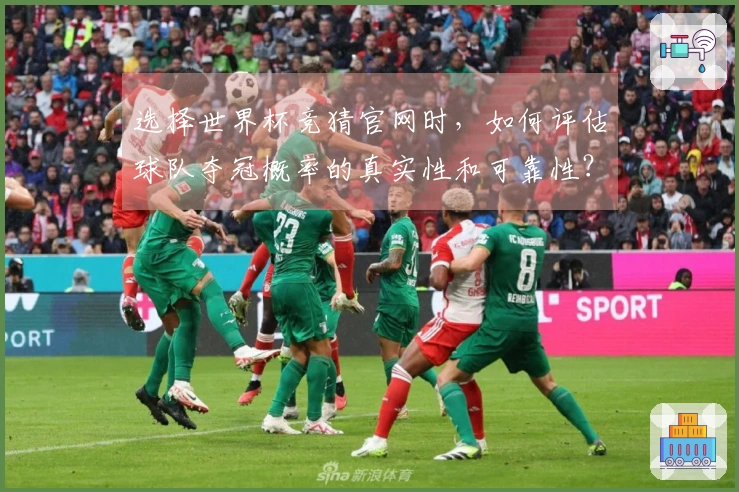 选择世界杯竞猜官网时，如何评估球队夺冠概率的真实性和可靠性？