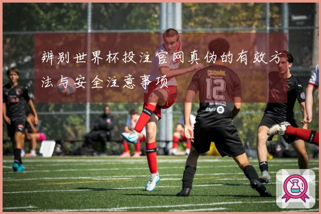 辨别世界杯投注官网真伪的有效方法与安全注意事项
