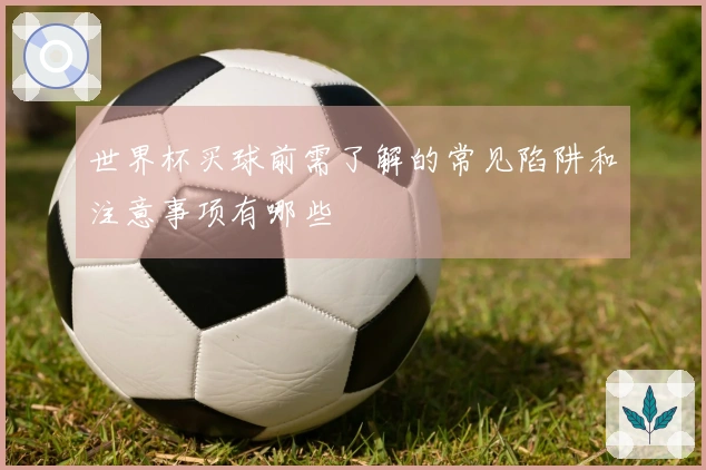 世界杯买球前需了解的常见陷阱和注意事项有哪些