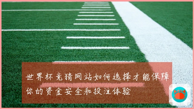 世界杯竞猜网站如何选择才能保障你的资金安全和投注体验