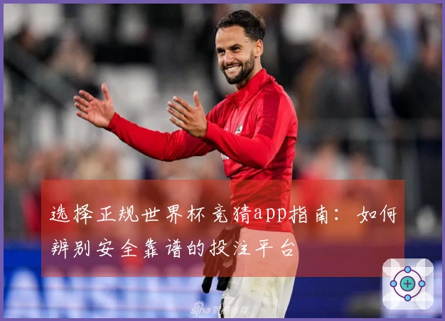 选择正规世界杯竞猜app指南：如何辨别安全靠谱的投注平台